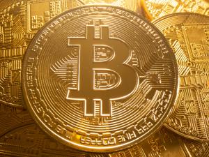 بتكوين تواصل الانهيار وتفقد أكثر من 50% من قيمتها