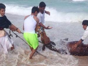 صورة توضيحية