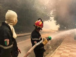 ارتفاع عدد ضحايا الحرائق في الجزائر إلى 69