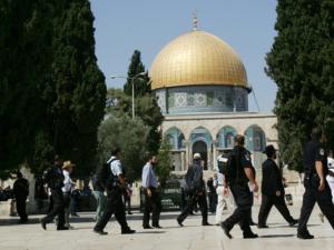 شرطة الاحتلال 