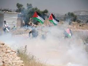 مسيرة بلعين الاسبوعية 