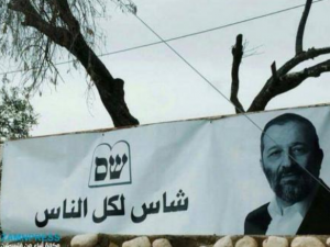 حركة شاس