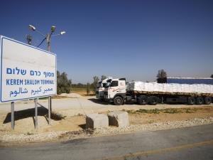 "كرم أبو سالم"