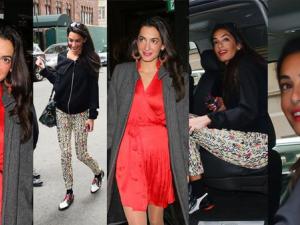 أمل علم الدين