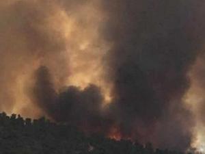 حريق كبير في حيفا بمنشأة تحتوي على مواد خطرة