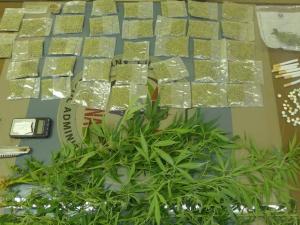 ضبط نصف كيلو غرام مخدرات في الخليل