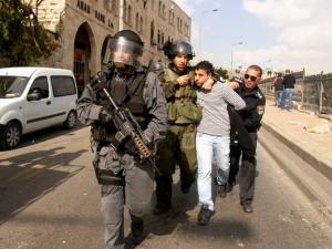 قوات الاحتلال 