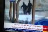 Embedded thumbnail for صور سرية لاعتداء وحشي على شبان في شعفاط