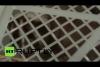 Embedded thumbnail for مواطن روسي يحاول تهريب حيوانات نادرة إلى موسكو