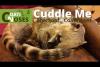 Embedded thumbnail for  حيوان يمسك بيد صاحبته ليحصل على جلسة تدليك