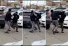 Embedded thumbnail for شجار عنيف في مرآب سيارات في كندا