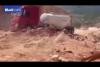 Embedded thumbnail for حفرة ضخمة تبتلع شاحنة في مقلع حجارة تركي