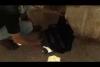 Embedded thumbnail for نكبة بنت ٦٦