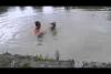 Embedded thumbnail for  كلب يضرب صديقه لينقذه من الغرق 