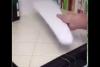 Embedded thumbnail for كوب مملوء ماء يتحول إلى قطعة خشب