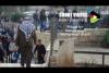Embedded thumbnail for لو فلسطين بتحكي
